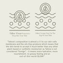 KUSHI Grass-Fed Whipped Tallow Cream